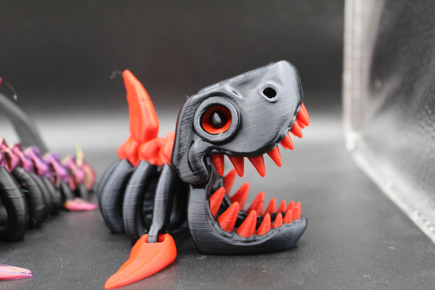 3D Printed Articulating Skeleton Shark TWO-Color