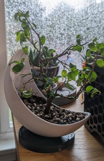 3D Printed Half Moon Planter