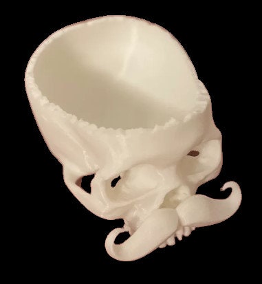 3D Printed Skull Candy Bowl W/ Mustache